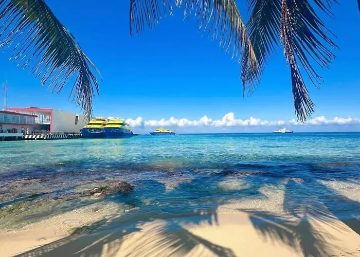Espectacular Estudio Frente Al Mar De A3 *